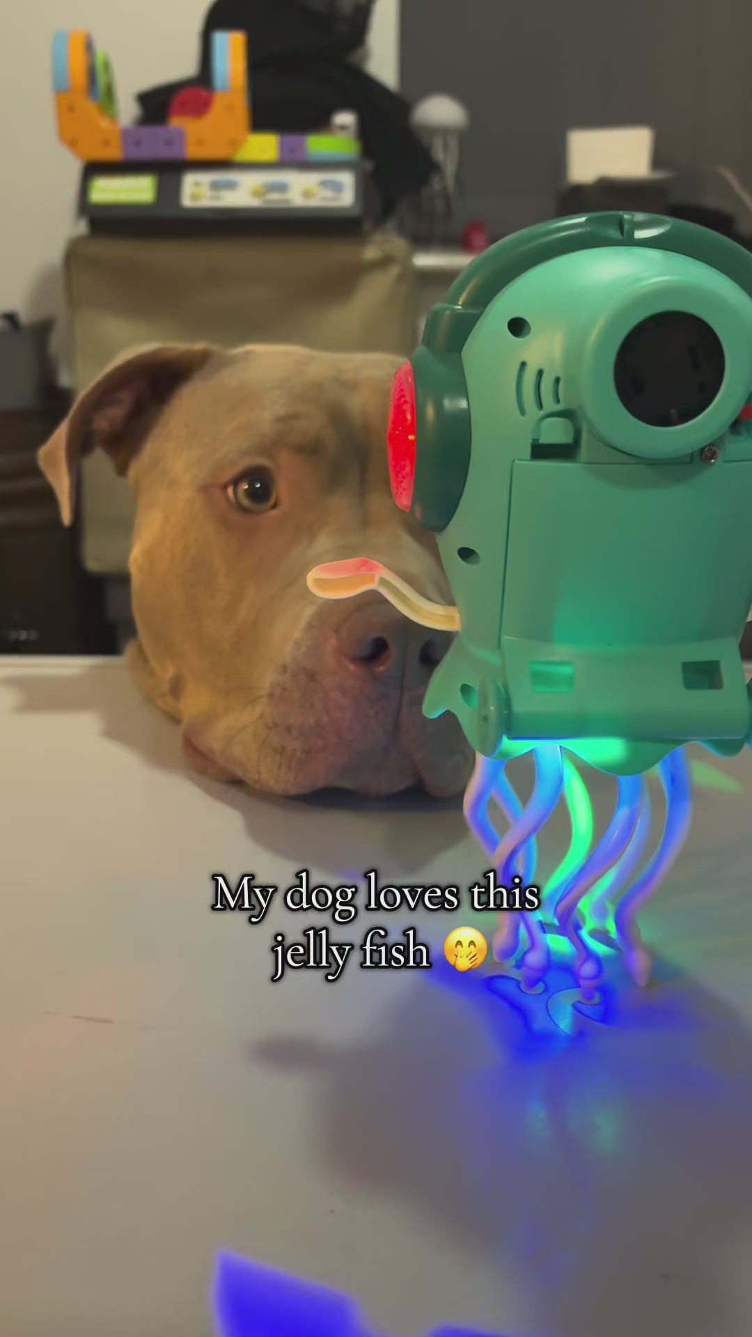 JellyJump™ Dancing Jellyfish video